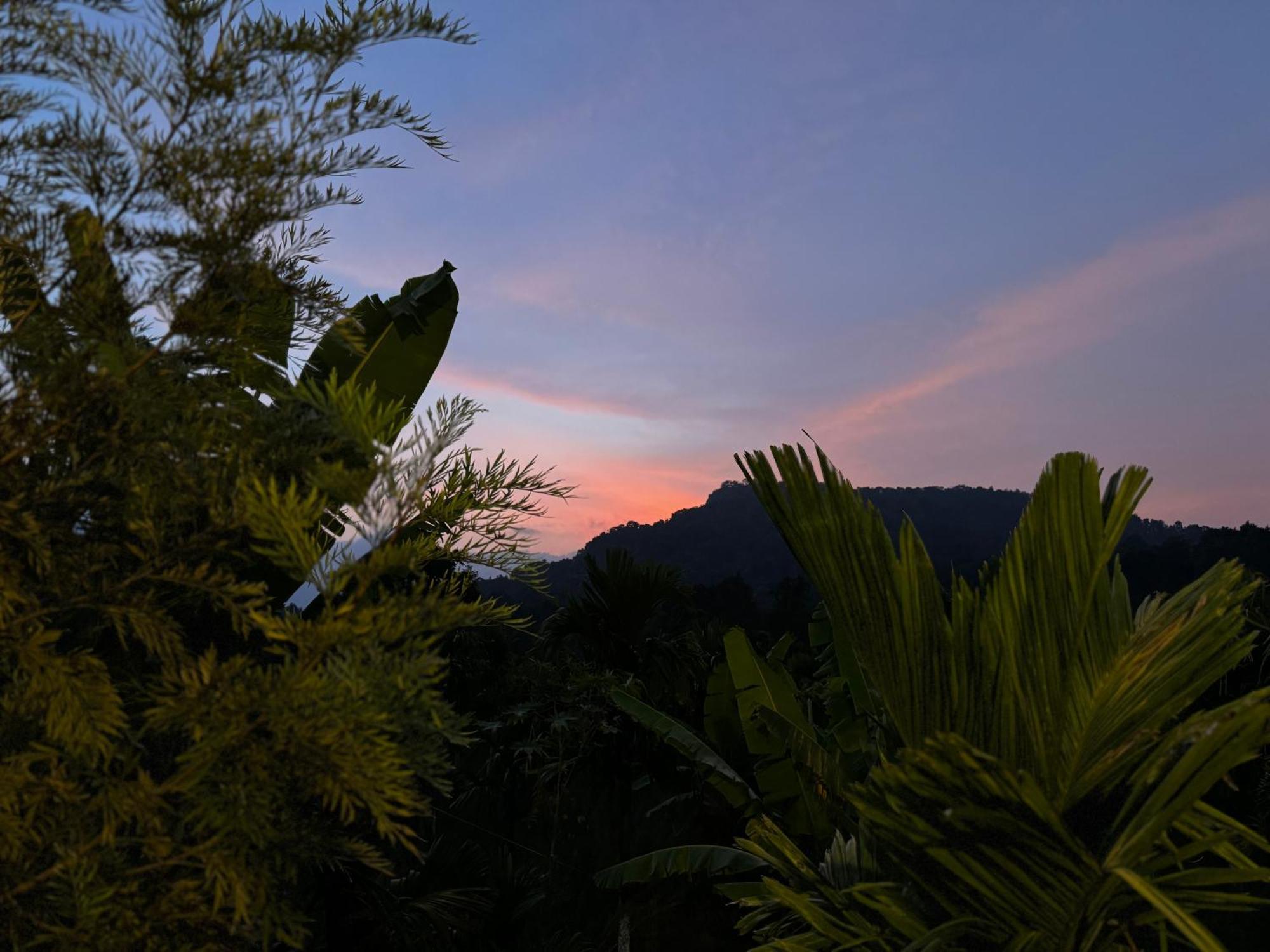 Bendheka - Cliff Front Cottages Coorg Gonikoppal Екстер'єр фото